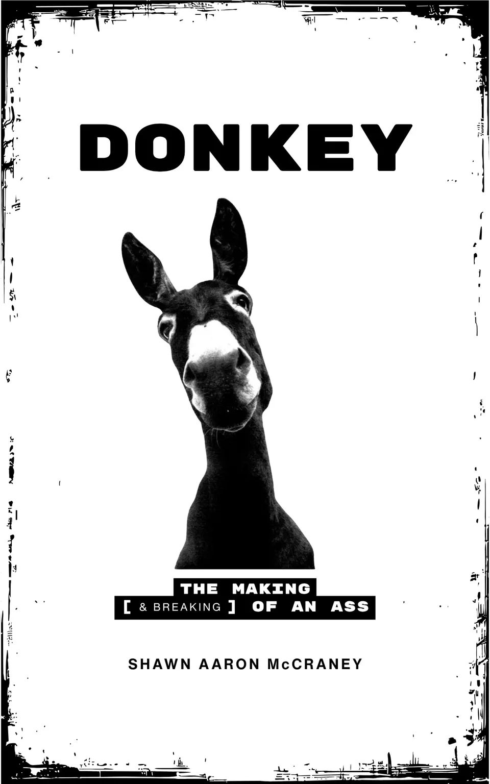 Donkey